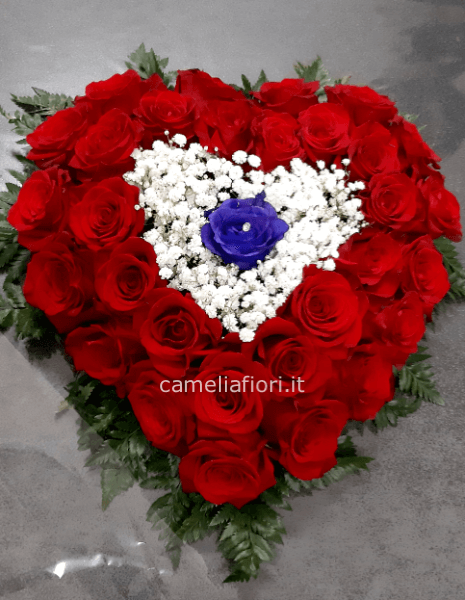 Cuore  in composizione 