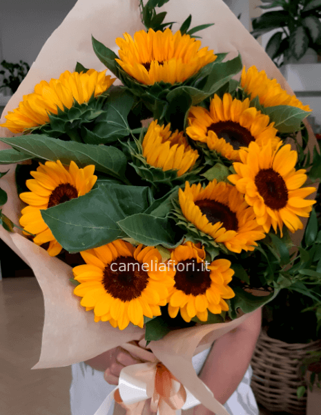 Girasoli