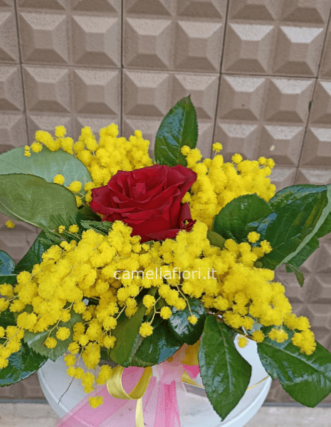 Cestino rosa e mimose