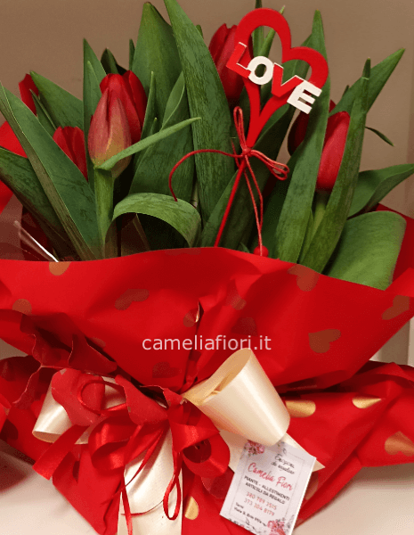TULIBULBO