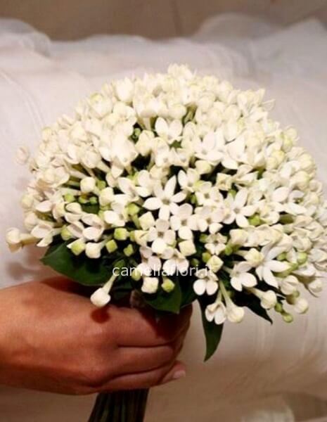 Bouquet Bouvardia