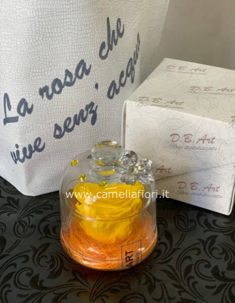 Rosa stabilizzata Gialla grande con cupola