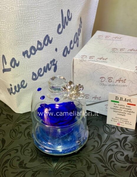 Rosa stabilizzata Blu grande con cupola