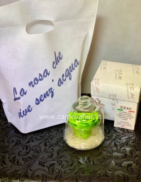 Rosa stabilizzata Verde grande con cupola