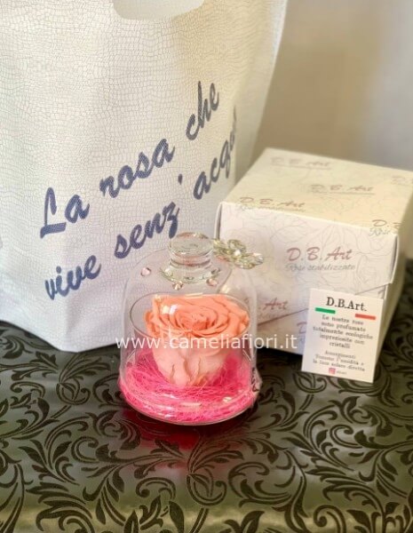 Rosa stabilizzata ROSA grande con cupola