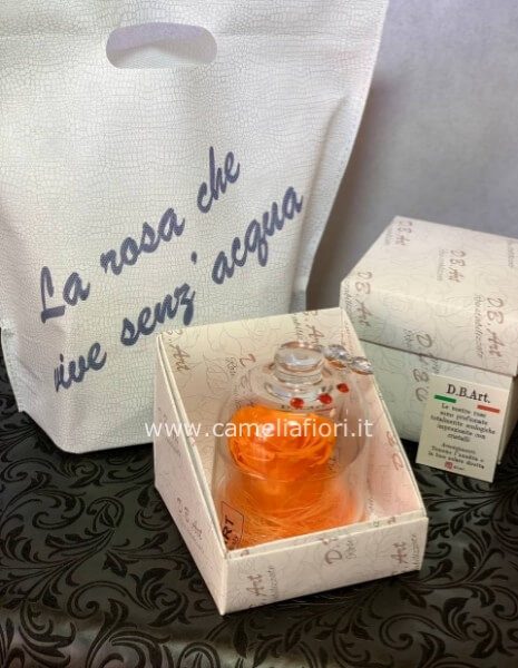 Rosa stabilizzata Arancio grande con cupola