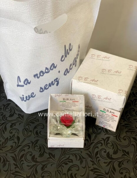 Rosa stabilizzata piccola con cristalli