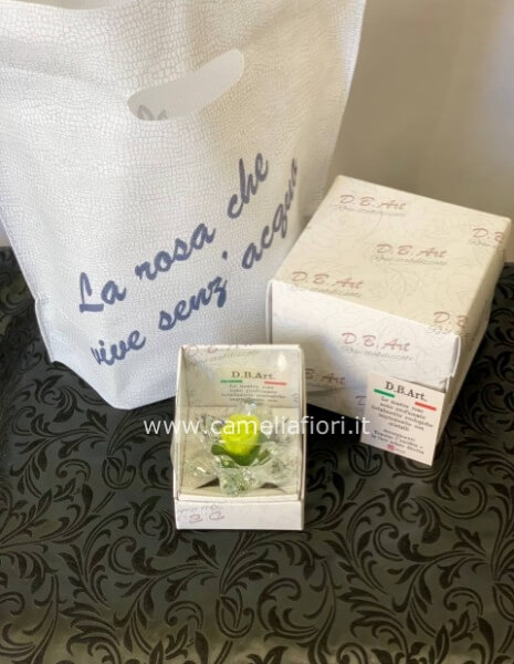 Rosa stabilizzata piccola con cristalli