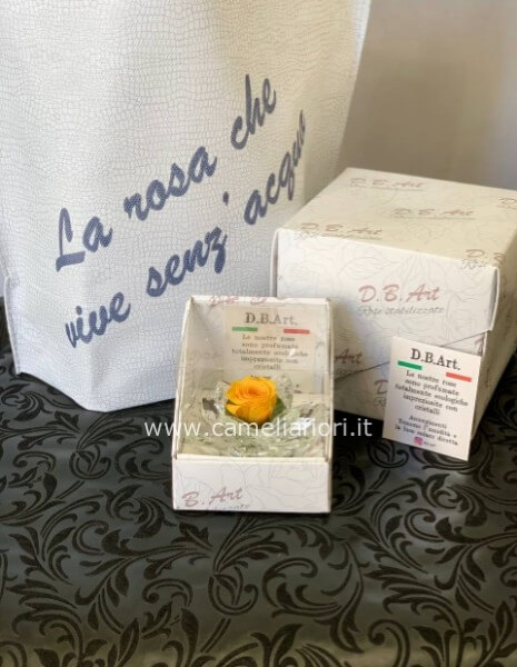 Rosa stabilizzata piccola con cristalli