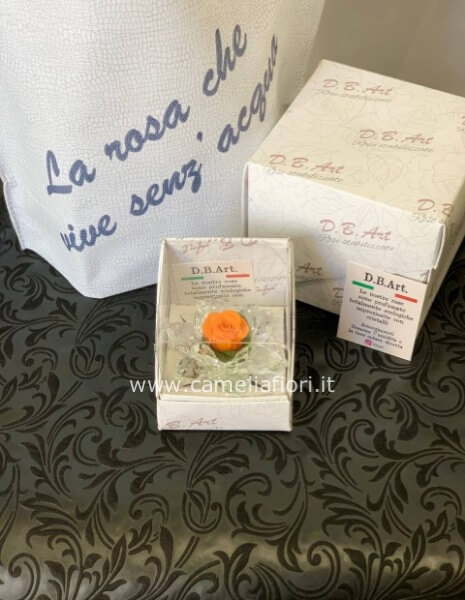 Rosa stabilizzata piccola con cristalli