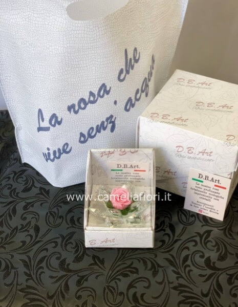 Rosa stabilizzata piccola con cristalli