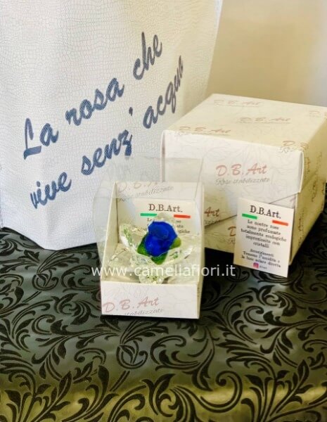 Rosa stabilizzata piccola con cristalli