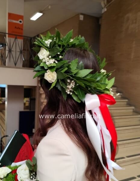 coroncina plus