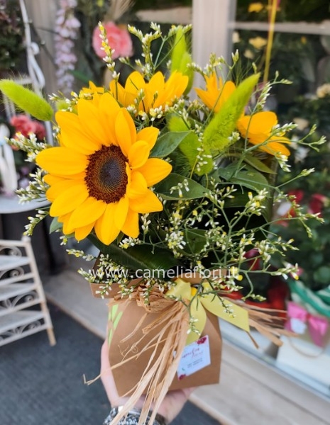 Girasoli con riserva d'acqua